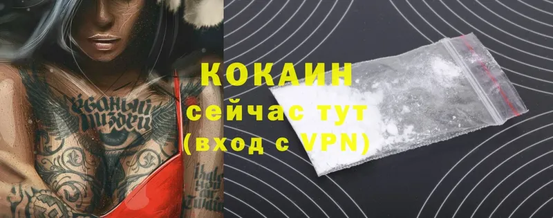 Cocaine FishScale  где продают   Анадырь 